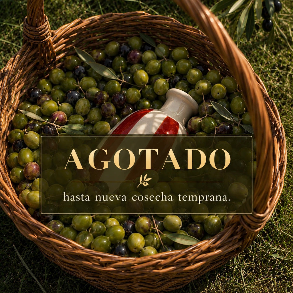 Aceite de Oliva Virgen Extra Premium Picual