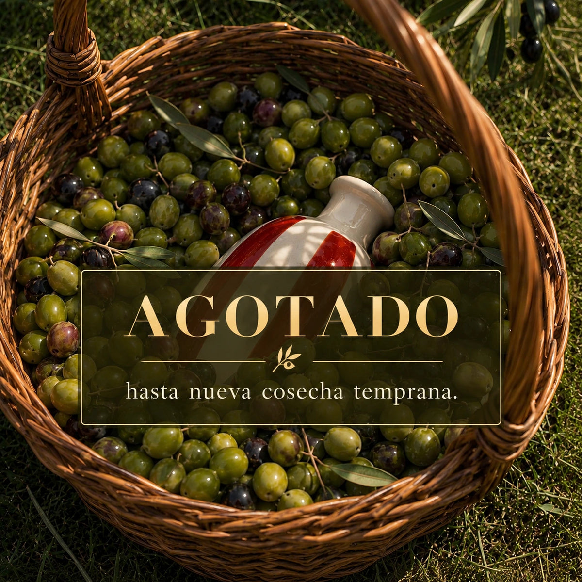 Aceite de Oliva Virgen Extra Premium Picual